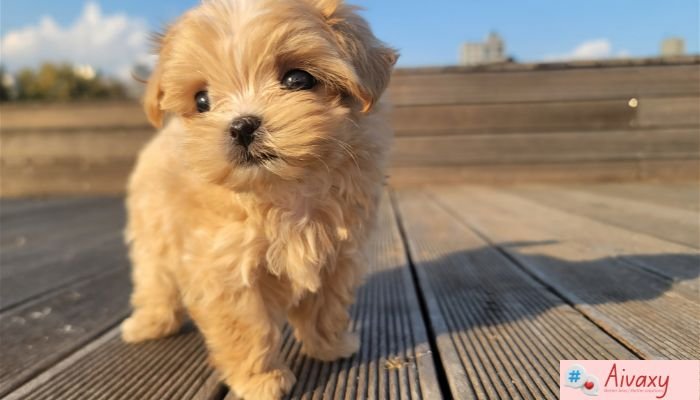 Cute Instagram Captions: 300 Sweet & Adorable Captions