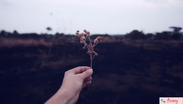 Instagram Captions About Life: 300 Positive Life Captions